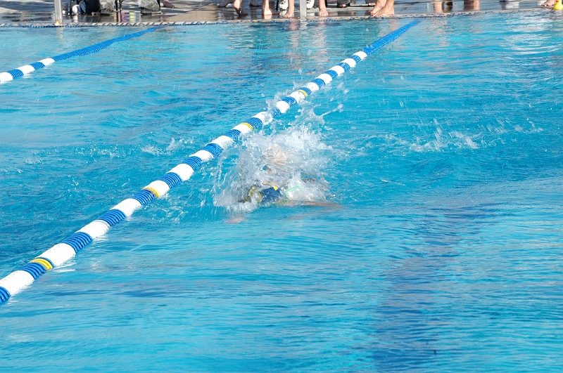 DSC_0419.JPG